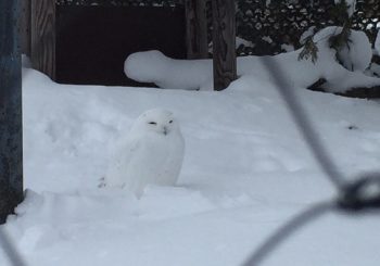 年初めは動物園で♪