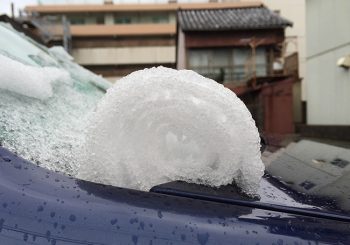 雪の…